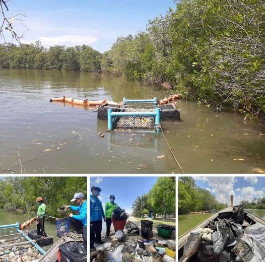 อาสาสมัครพิทักษ์ทะเลเก็บขยะในคลองประสงค์ ช่วยทะเลกระบี่