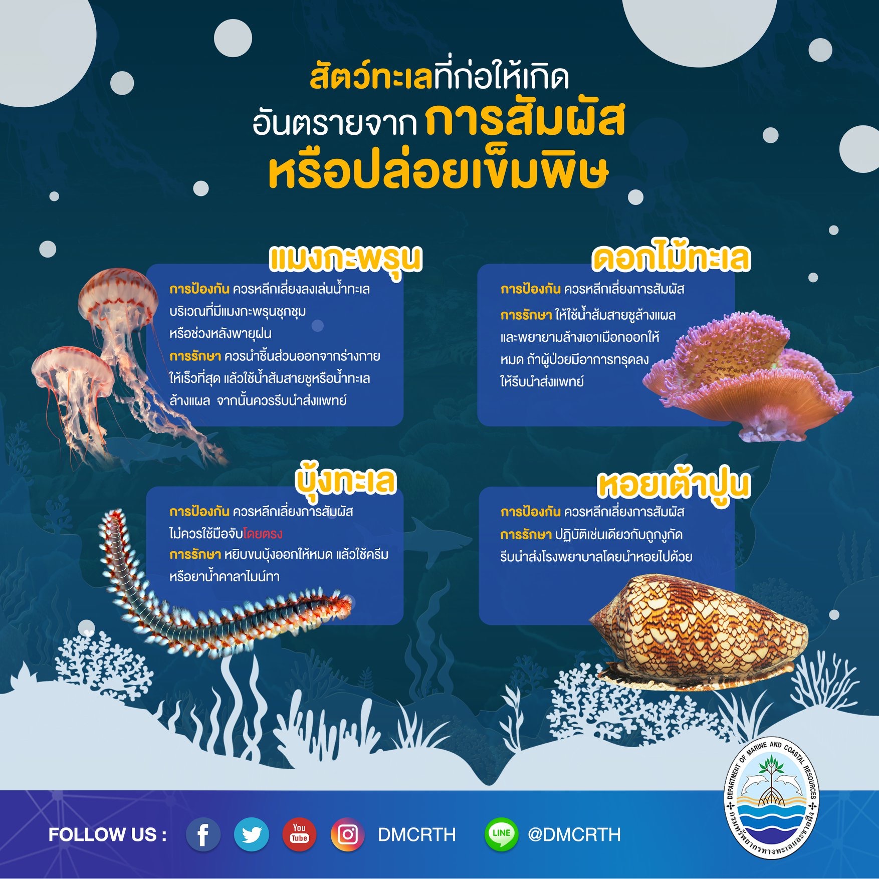 เที่ยวทะเลให้ปลอดภัย ระวังภัยจากสัตว์ทะเล : การสัมผัส