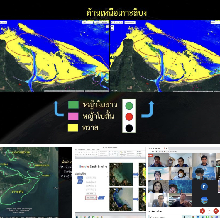 ประชุมผู้เชี่ยวชาญ ยกระดับการสำรวจแหล่งหญ้าทะเลในน่านน้ำไทย