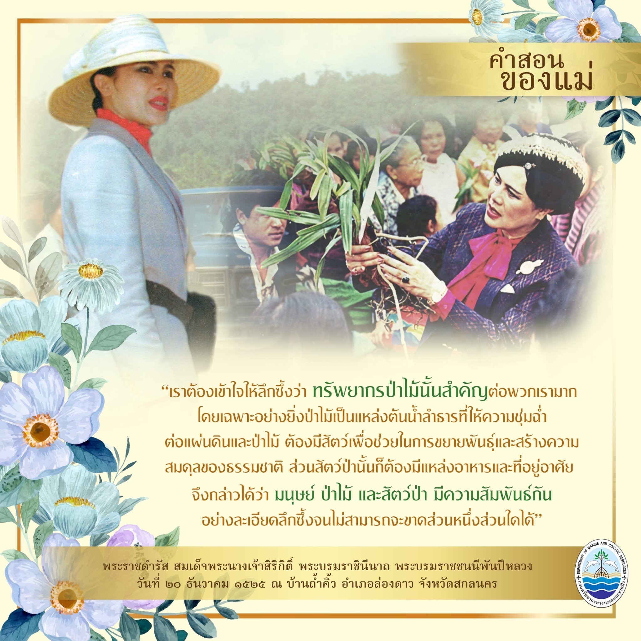 คำสอนของแม่ เรื่องทรัพยากรป่าไม้