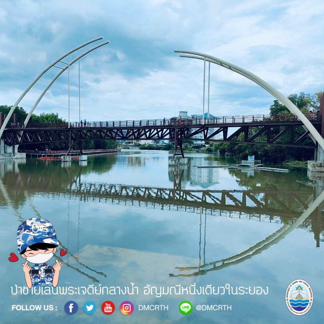 สวัสดี พี่น้องเครือข่ายอนุรักษ์ทะเลไทย