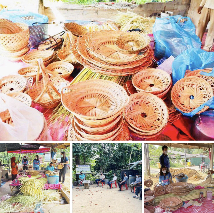 ส่งเสริมผลิตภัณฑ์จักสานก้านจาก กลุ่มอนุรักษ์ชายฝั่งสตูล