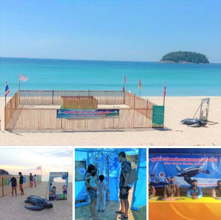 ภูเก็ต หลุมไข่ที่นี่ปลอดภัยดีเพราะมีชุมชนช่วยกันดูแล