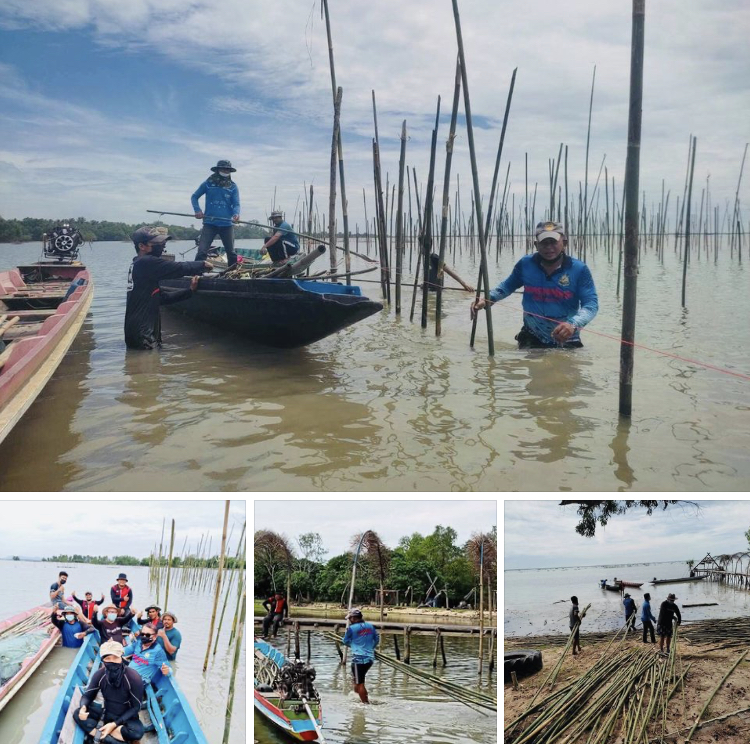 อาสาวางซั้งบ้านปลา และเก็บขยะบริเวณชายหาดปากบางภูมี
