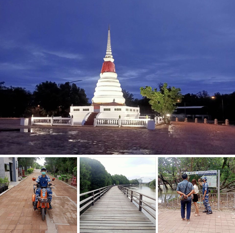 ดูแลต่อเนื่อง เพื่อการท่องเที่ยวป่าชายเลนเมืองระยอง