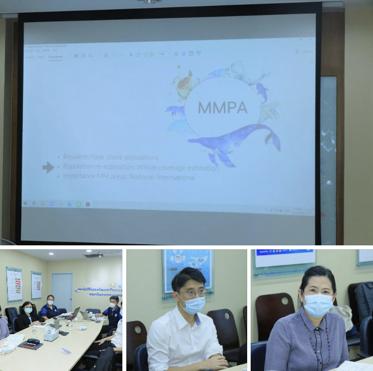 ทช. จัดประชุมหารือเเนวทางการจัดเตรียมข้อมูลสถานภาพ สัตว์ทะเลเลี้ยงลูกด้วยนม และแผนมาตรการในการอนุรักษ์ สัตว์ทะเลเลี้ยงลูกด้วยนม