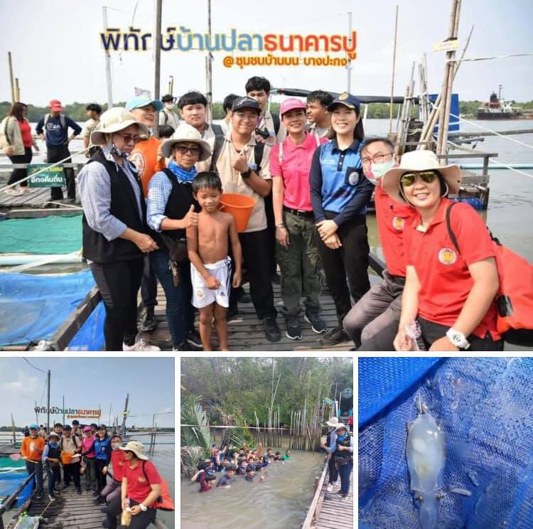 ชาวลุ่มน้ำบางปะกงยิ้มได้ ระบบนิเวศทะเลคืนความสมบูรณ์