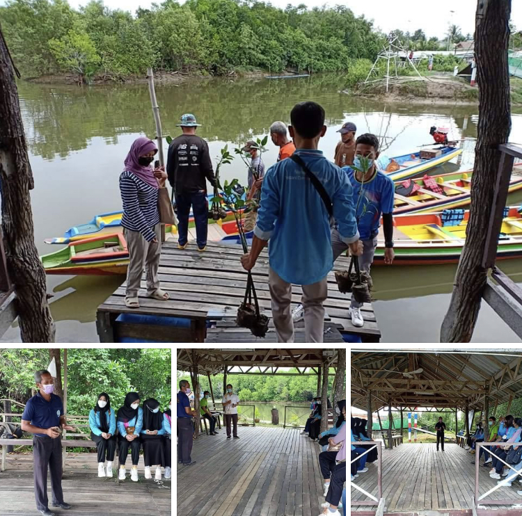 ชวนพี่ๆ วิทยาลัยชุมชนปัตตานีรักษ์ป่าชายเลนบ้านบางปูบาลาดูวอ
