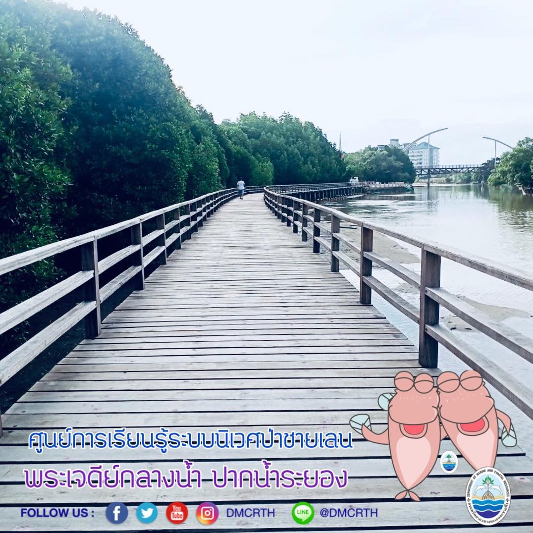 สวัสดี พี่น้องเครือข่ายอนุรักษ์ทะเลไทย
