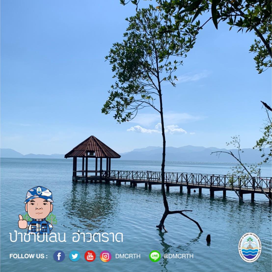 สวัสดี พี่น้องเครือข่ายอนุรักษ์ทะเลไทย