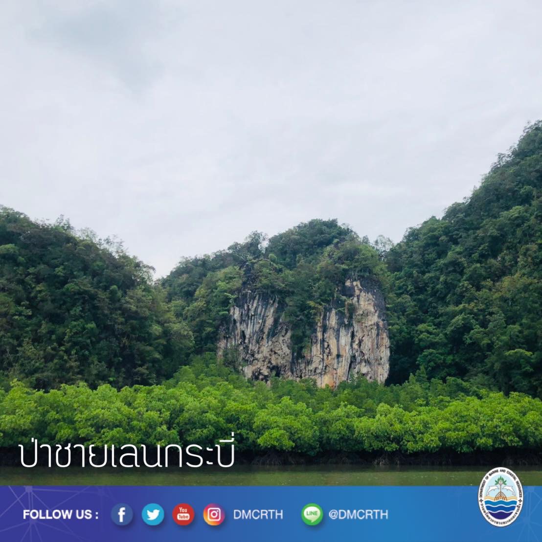 สวัสดี พี่น้องเครือข่ายอนุรักษ์ทะเลไทย