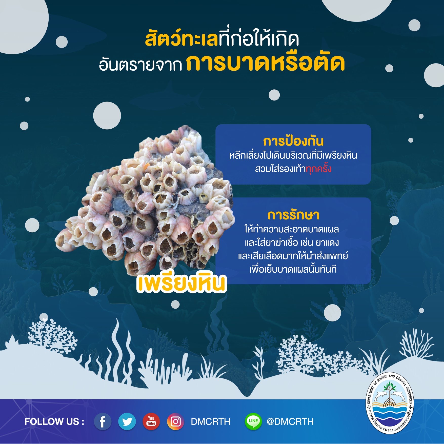 เที่ยวทะเลให้ปลอดภัย ระวังภัยจากสัตว์ทะเล : การบาดหรือตัด