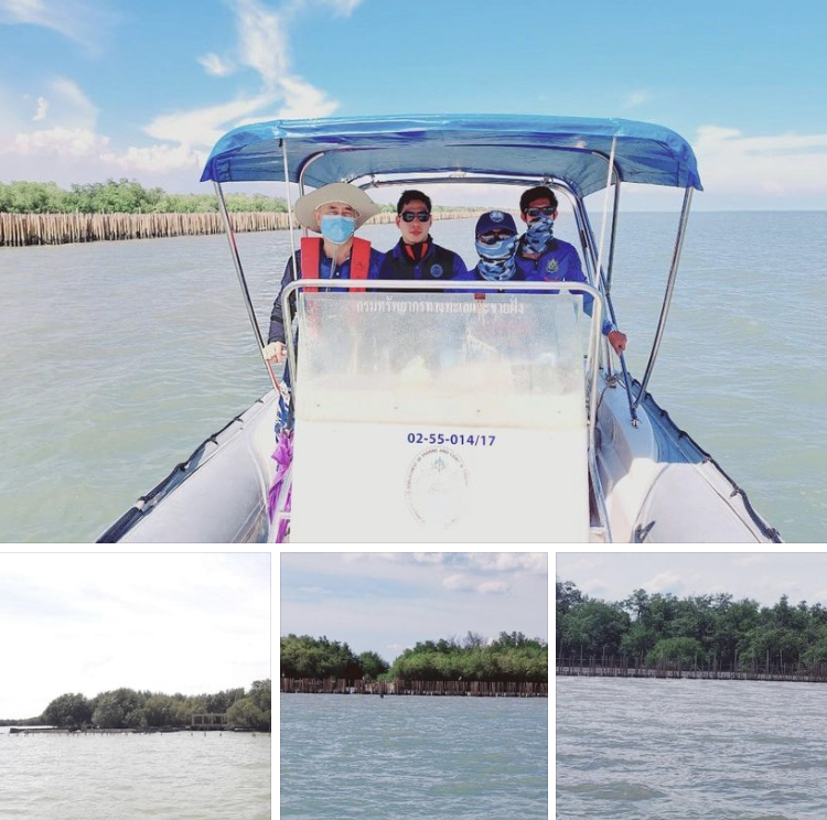 ลาดตะเวนป่าชายเลน เลียบชายฝั่งสมุทรสาคร