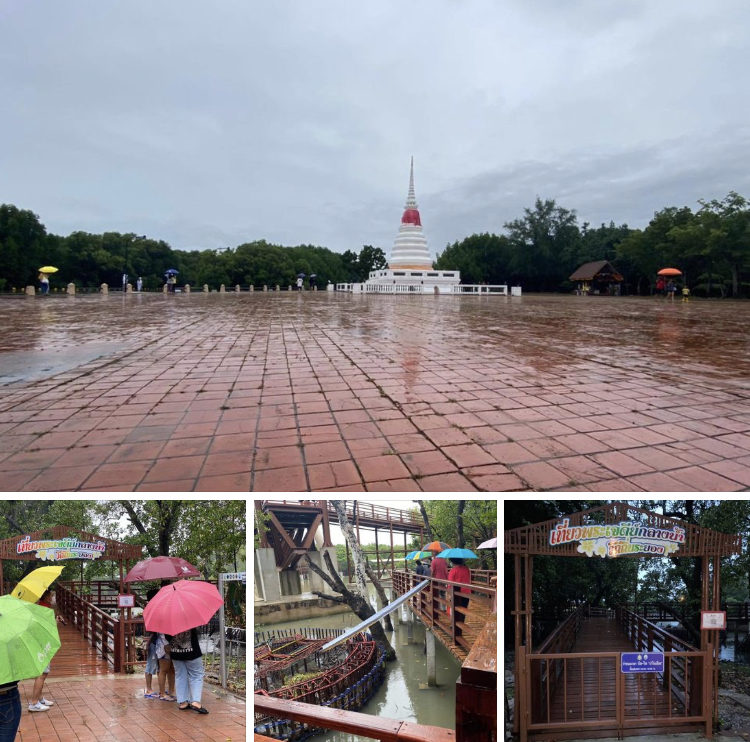 วันหยุด ฝนตกทั้งวัน ชาวระยองมาเที่ยวป่าชายเลนน้อย
