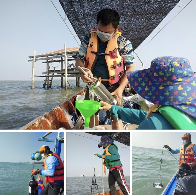 เฝ้าระวังการเปลี่ยนแปลงคุณภาพน้ำทะเลชายฝั่งท่าจีน-บางตะบูน