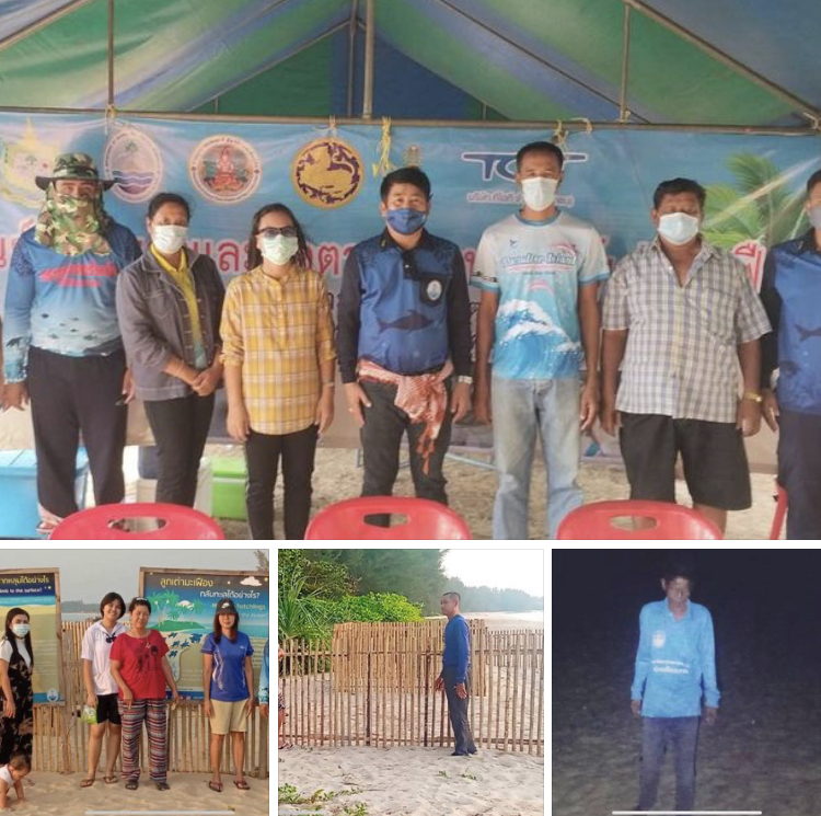 หลุมไข่พังงาฟักไปอีก ๑ หลุม ทช. เฝ้าระวังที่เหลือต่อเนื่อง