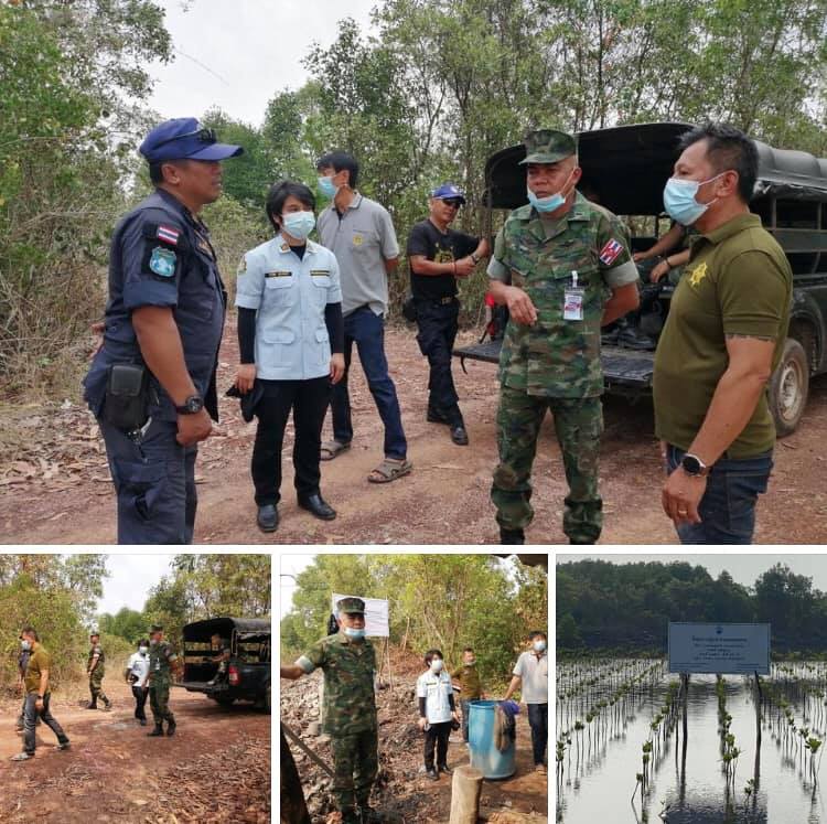 สนธิกำลังเฝ้าระวังบุกรุกทำลายป่าชายเลนบ้านบ่อ จันทบุรี