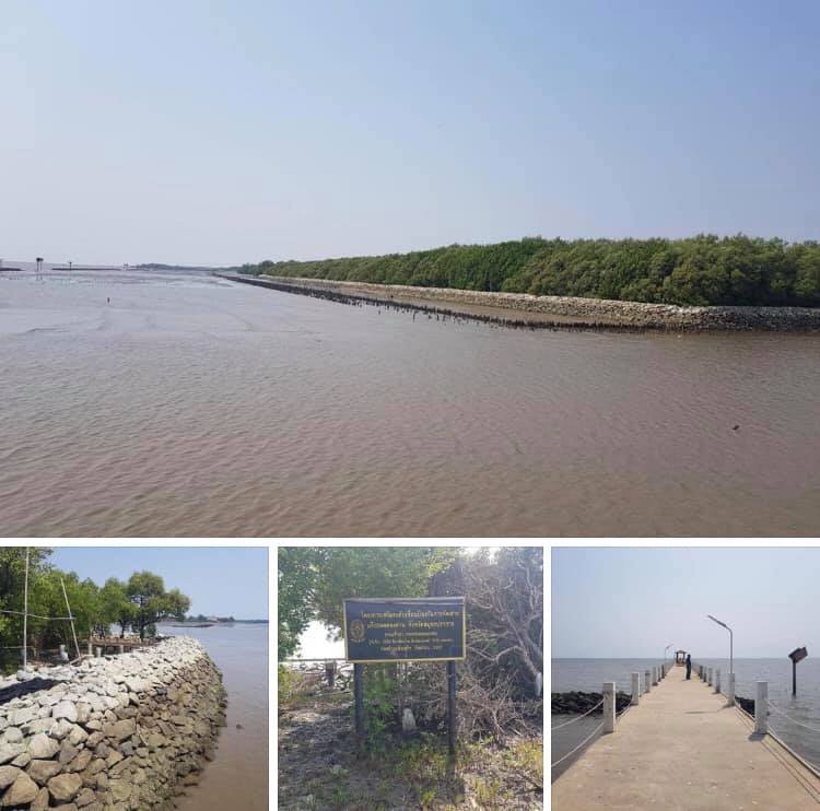 สำรวจสถานภาพชายฝั่งทะเลชุมชนคลองตาก๊ก สมุทรปราการ