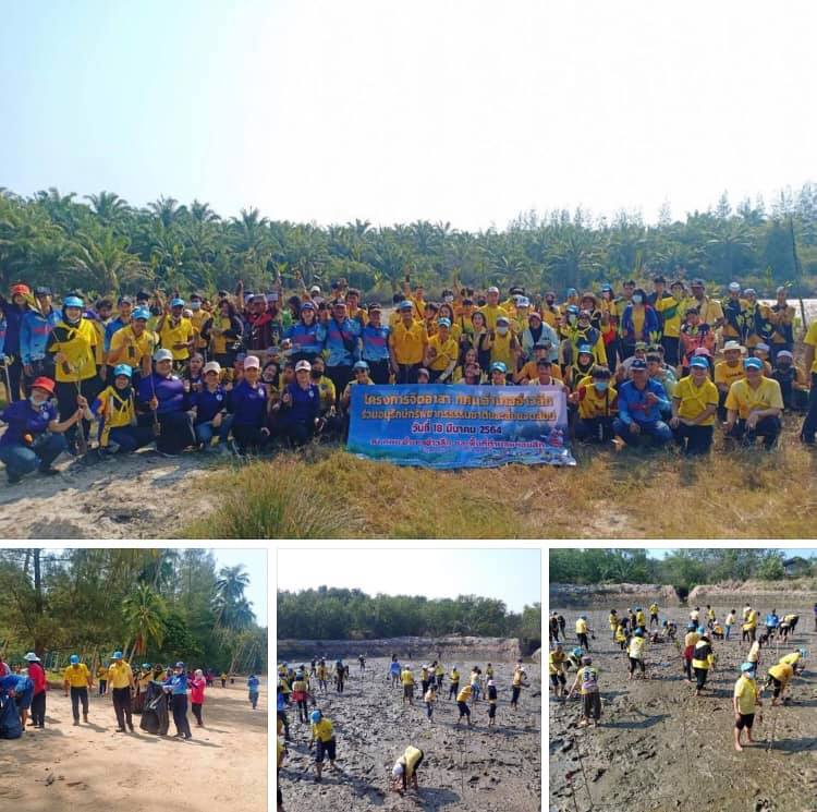 ชุมชนอาสา ปลูกป่า เก็บขยะชายหาดบ้านในใส กระบี่
