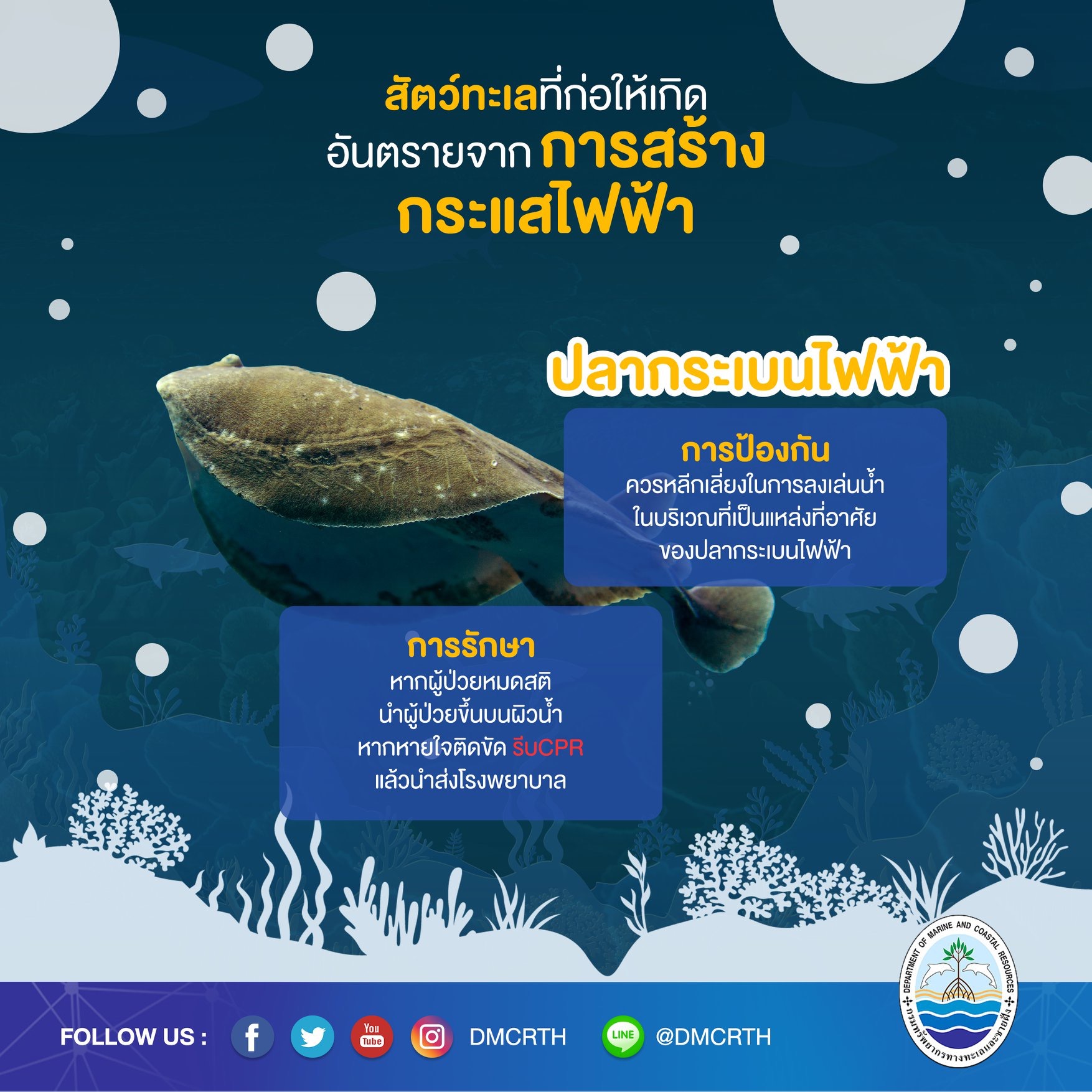 เที่ยวทะเลให้ปลอดภัย ระวังภัยจากสัตว์ทะเล : กระแสไฟฟ้า