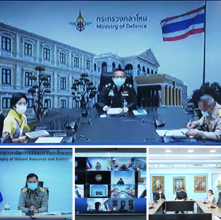 ผลปลูกป่าชายเลน ตามโครงการปลูกป่าและป้องกันไฟป่า