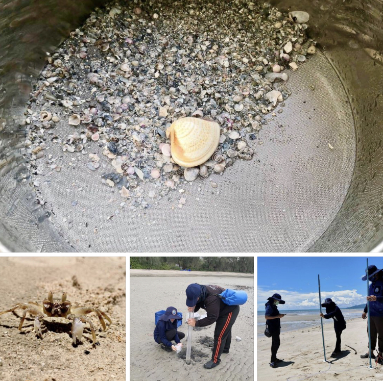 พาสำรวจความหลากหลายของทรัพยากรระบบนิเวศหาดทับทิม