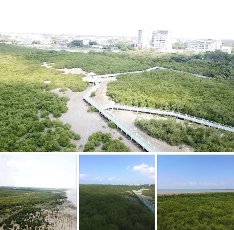 สถานภาพชายฝั่งป่าในเมืองปัตตานีมีความสมดุลและสมบูรณ์ดี