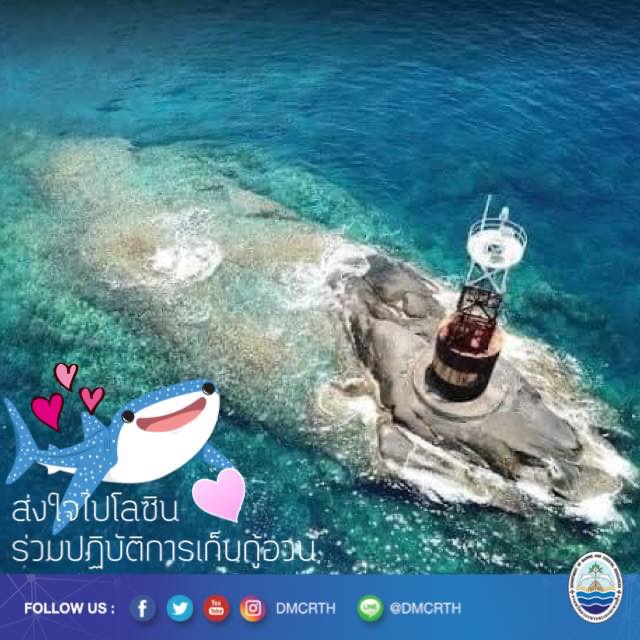 สวัสดี พี่น้องเครือข่ายอนุรักษ์ทะเลไทย