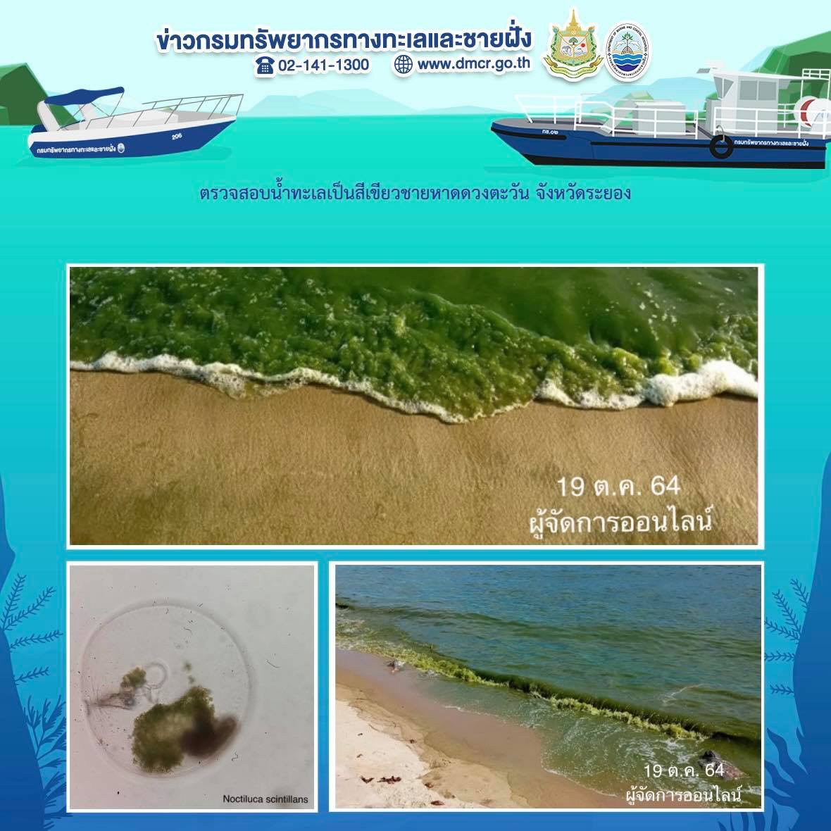 ตรวจสอบผลกระทบน้ำทะเลเปลี่ยนสี ท่าเรือแกลง