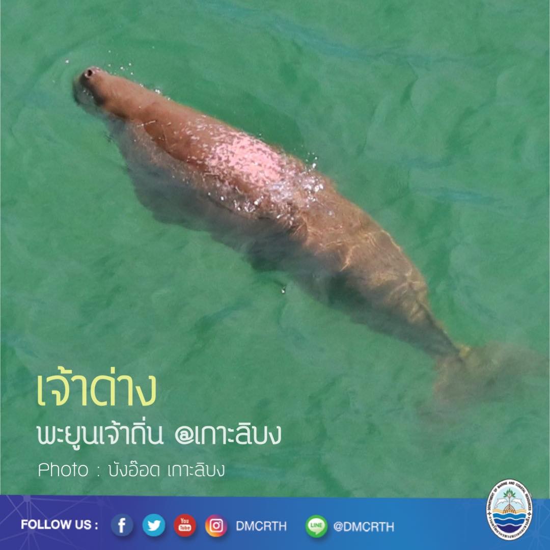 สวัสดี พี่น้องเครือข่ายอนุรักษ์ทะเลไทย