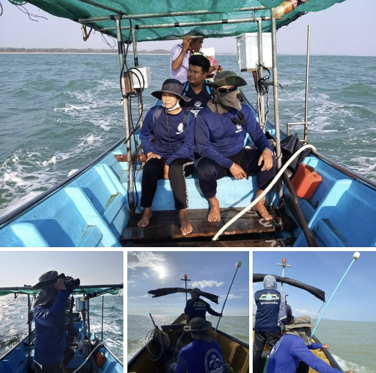 ประเมินสถานภาพสัตว์ทะเลหายากชายฝั่งทะเลปัตตานี