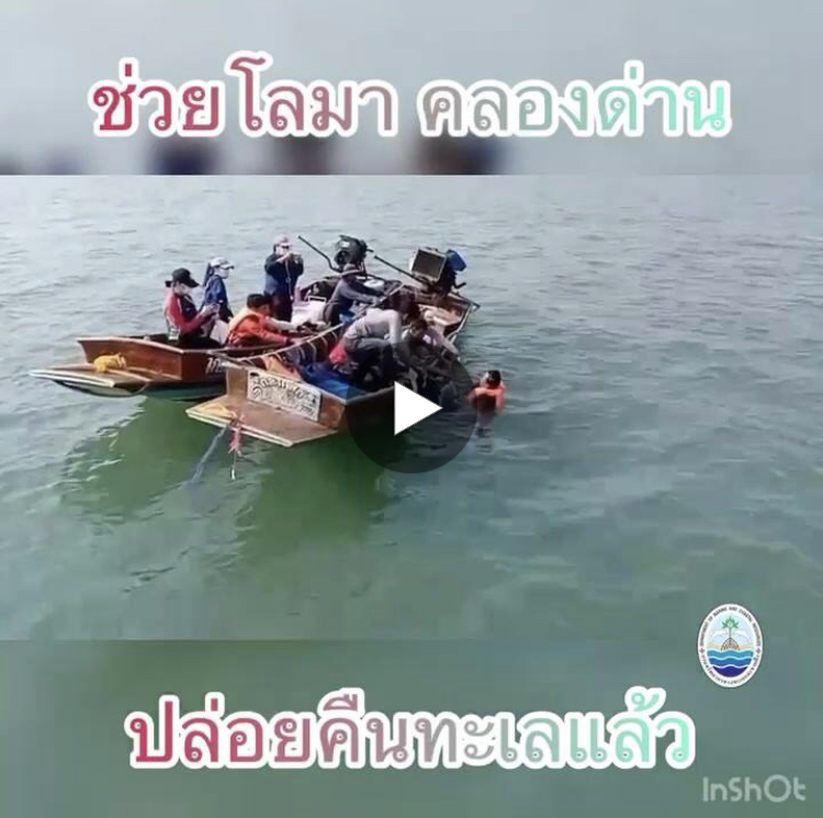 บ๊ายบาย เจ้าโลมา ส่งคืนกลับบ้านเรียบร้อยแล้ว