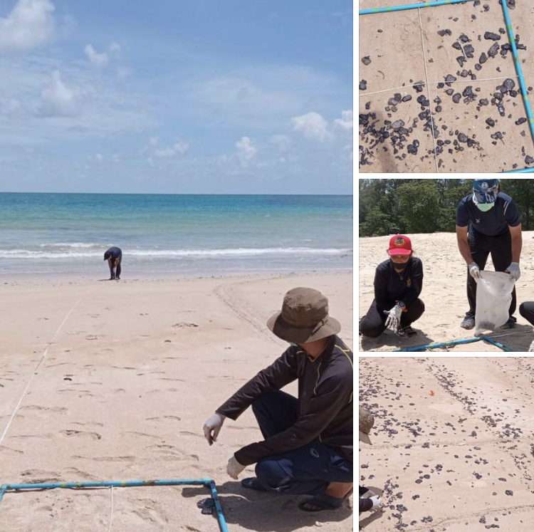 ร่วมอุทยานสิรินาถ สำรวจที่มาก้อนน้ำมันบนชายหาด