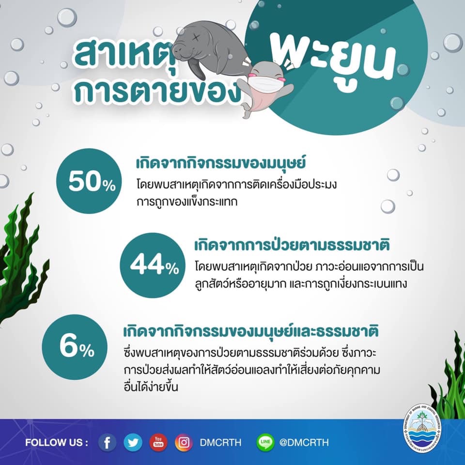 พะยูน ตอนที่ ๕ : ภัยคุกคามของพะยูน