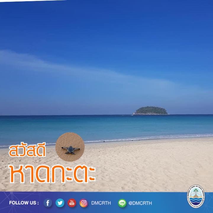 สวัสดี พี่น้องเครือข่ายอนุรักษ์ทะเลไทย