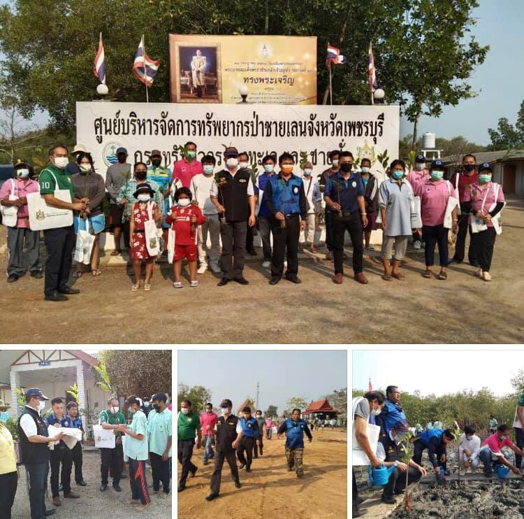 เปลี่ยนขยะเป็นกล้าพันธุ์ไม้ป่าชายเลนบางขุนไทร เพชรบุรี