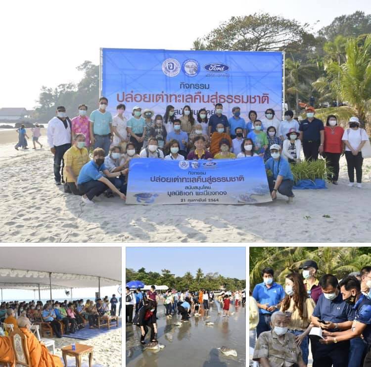 ปล่อยเต่าคืนสู่ธรรมชาติชายหาดอ่าวไข่ ระยอง