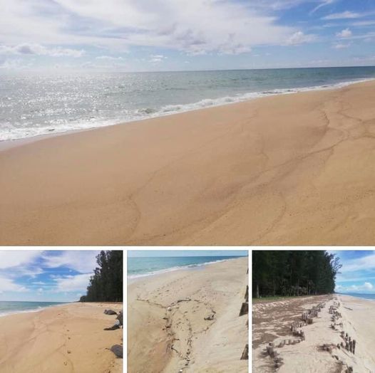 ติดตามตรวจสอบชายหาดหน้าวัดท่าไทร ไม่พบกัดเซาะ