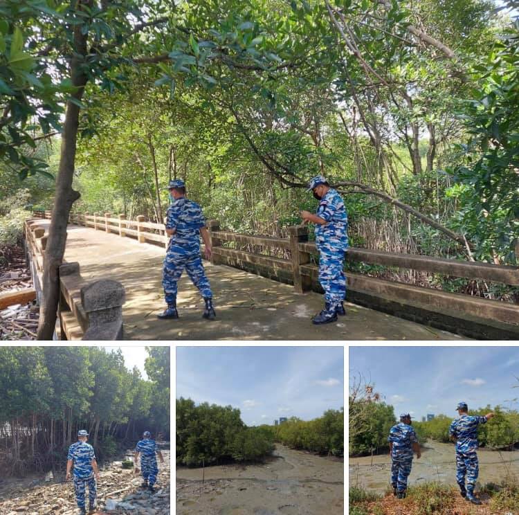 ลาดตระเวนรักษาป่าชายเลนชลบุรี สถานการณ์ปกติไม่มีบุกรุก