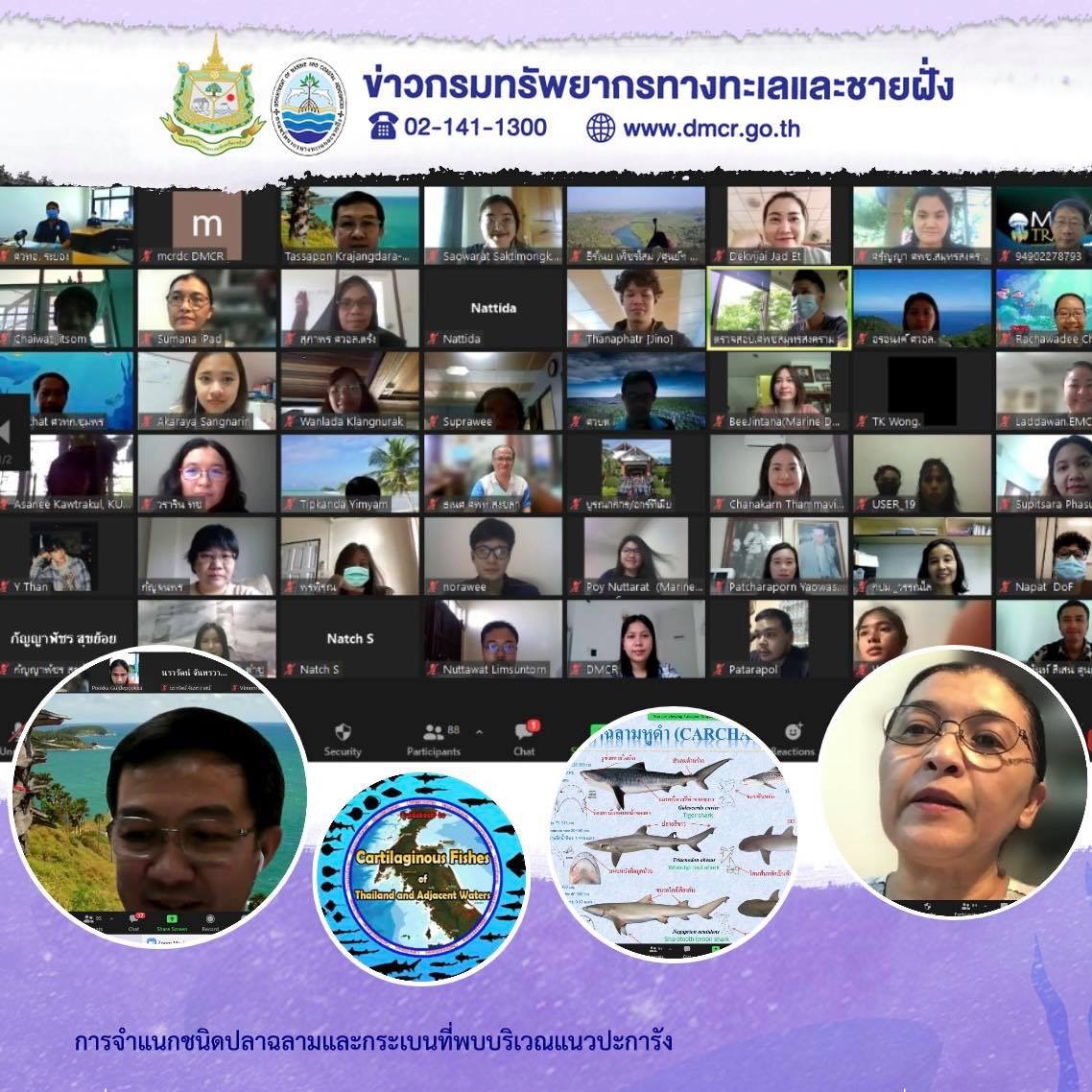 เสริมทักษะความรู้ มุ่งอนุรักษ์ปลาฉลาม-กระเบน
