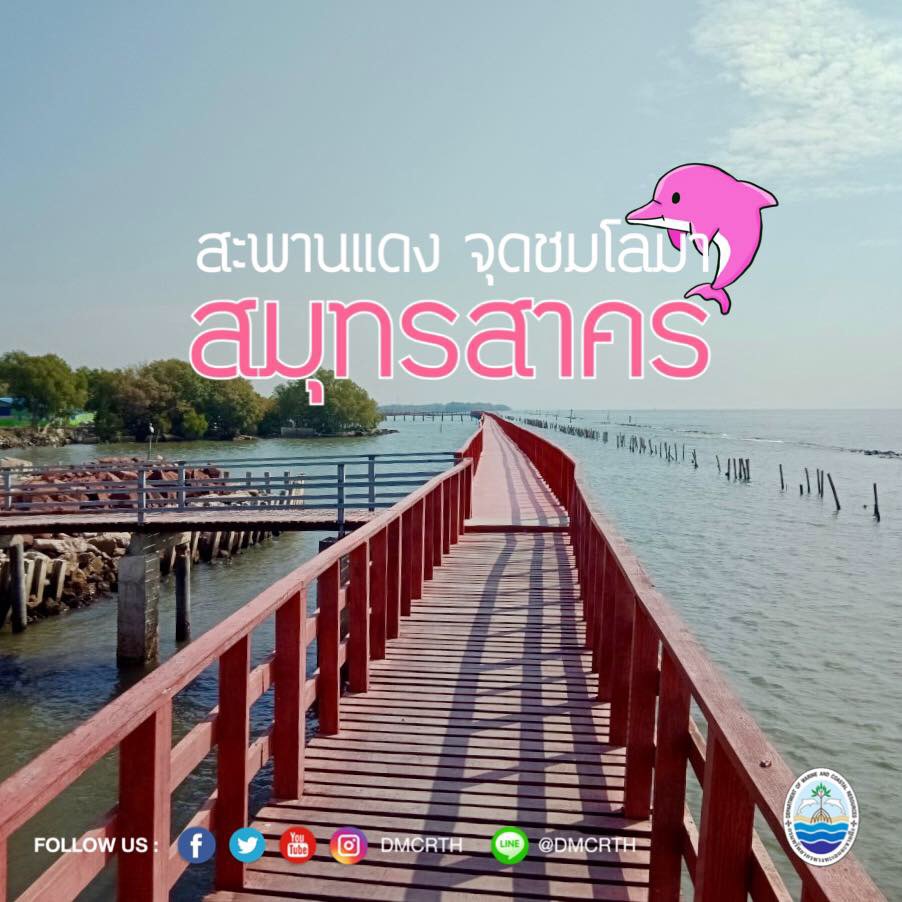 สวัสดี พี่น้องเครือข่ายอนุรักษ์ทะเลไทย