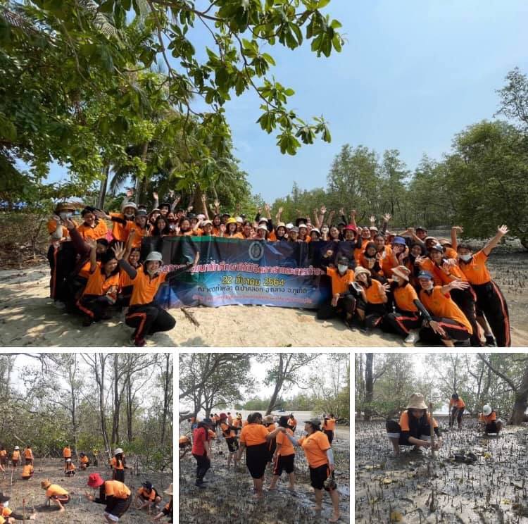 ชาวภูเก็ต รักทะเลบ้านเกิดร่วมอนุรักษ์ฟื้นฟูป่าชายเลนป่าคลอก
