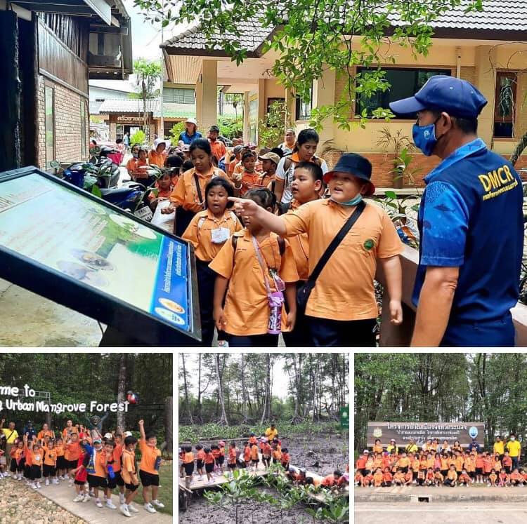 ปลูกฝังอนุรักษ์ป่าชายเลนดึกดำบรรพ์กลางเมืองระนอง