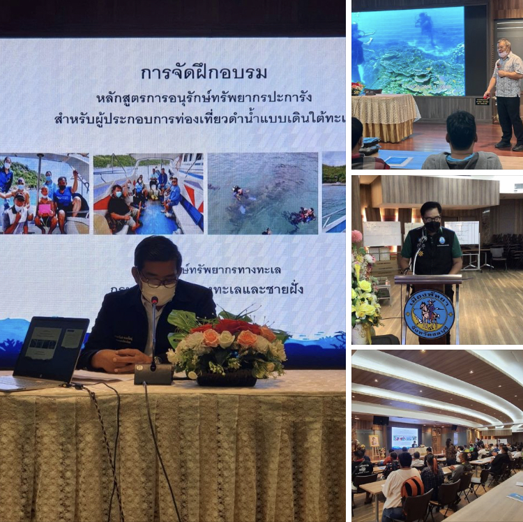 จบรุ่นแรก อบรมผู้ประกอบการท่องเที่ยวดำน้ำแบบเดินใต้ทะเลชลบุรี