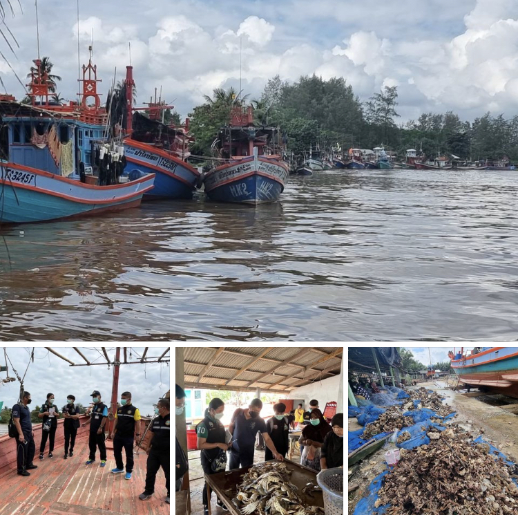 ตรวจสอบการทำประมง ลดผลกระทบทะเลท่าเรือจะนะ
