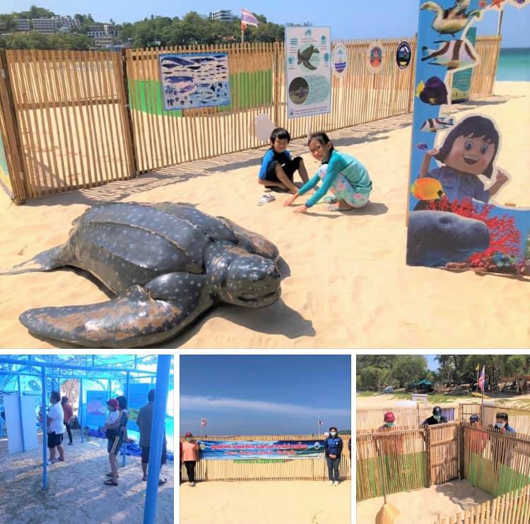 ใกล้ทุกขณะ หาดกะตะ ลูกเต่ามะเฟืองฟักแน่ปลายเดือนนี้