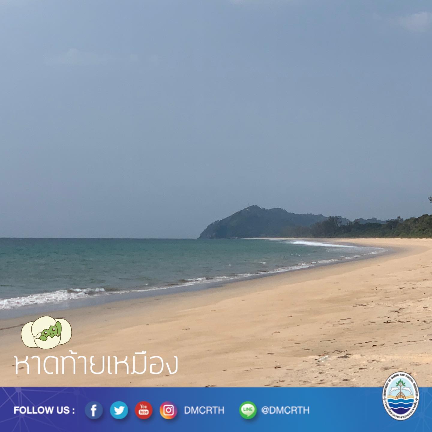 สวัสดี พี่น้องเครือข่ายอนุรักษ์ทะเลไทย