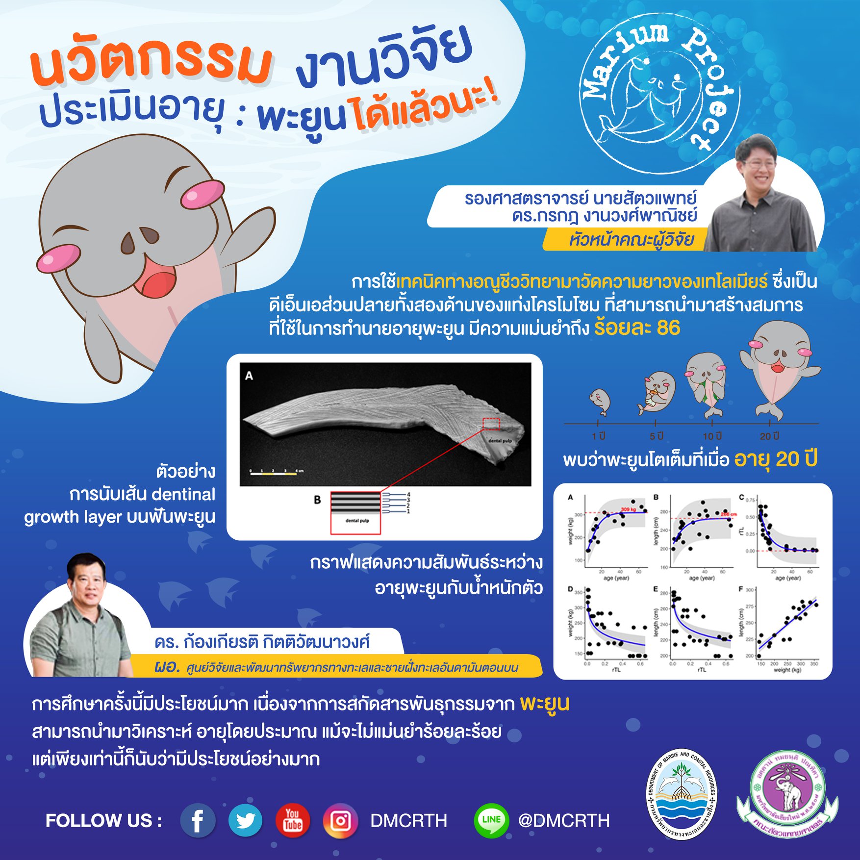 ความสำเร็จของมาเรียมโปรเจค ๑ : การประเมินอายุของพะยูน