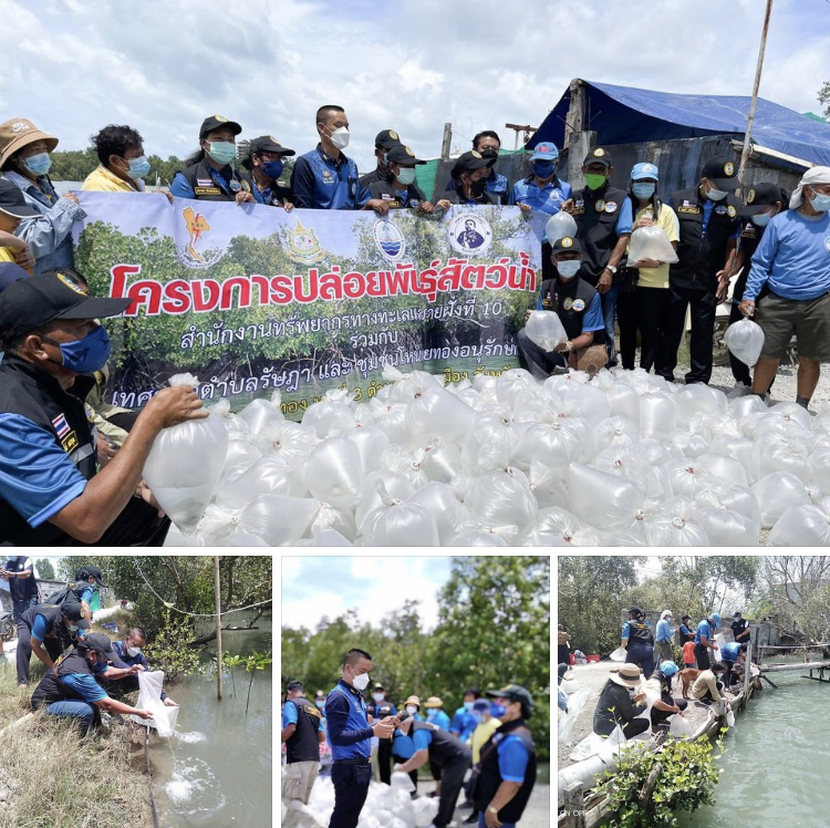 ชวนอาสาฯ บ้านโหนทรายทอง ปล่อยเพิ่มพันธุ์ปลาในทะเลภูเก็ต