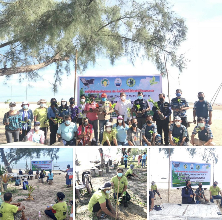 อนุรักษ์ฟื้นฟูป่าชายหาด เสริมความมั่นคงชายฝั่งอ่าวบ้านดอน